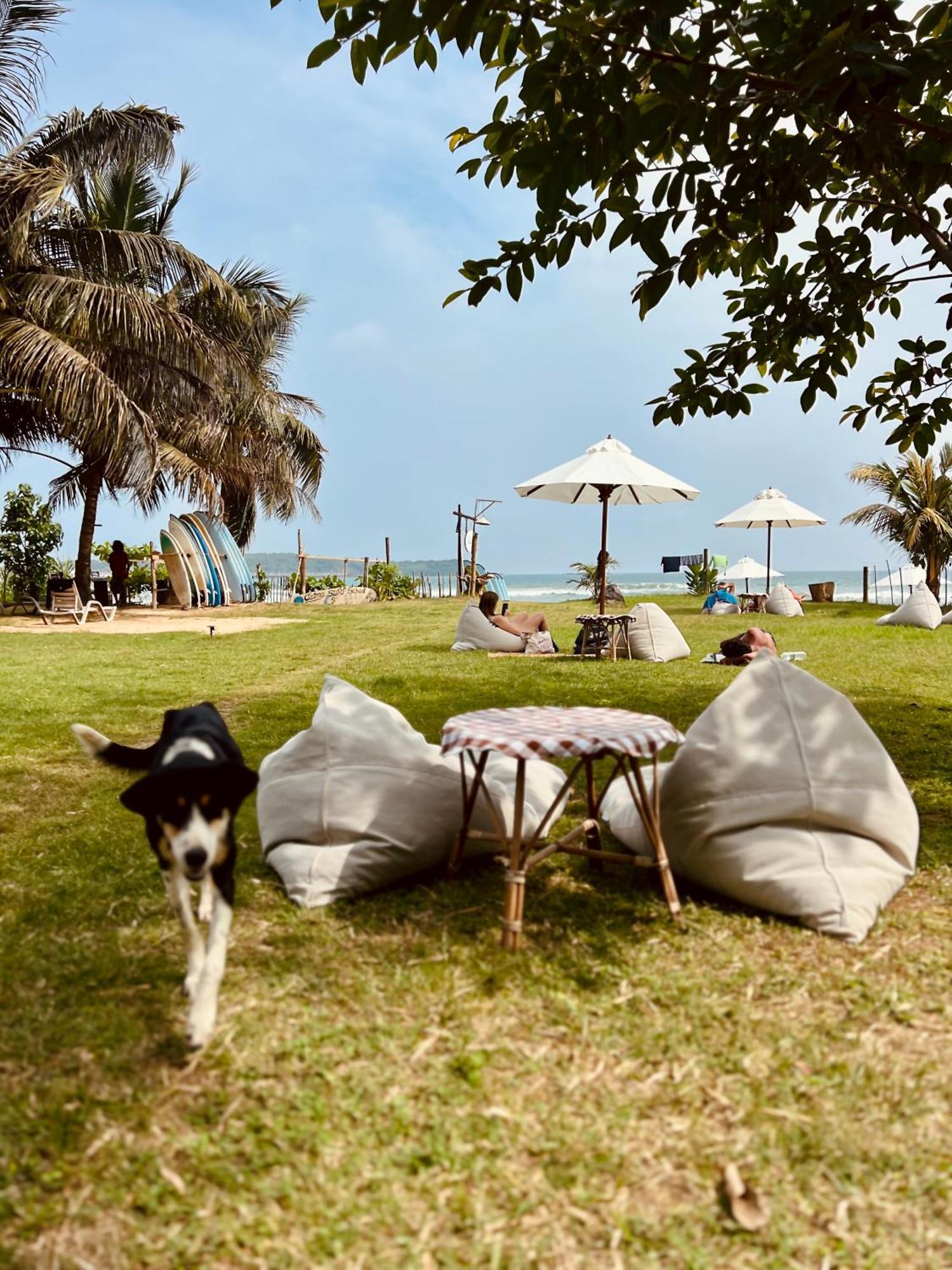 Calma - Surf, Yoga & Coffee On A Private Beach Dickwella Exterior photo