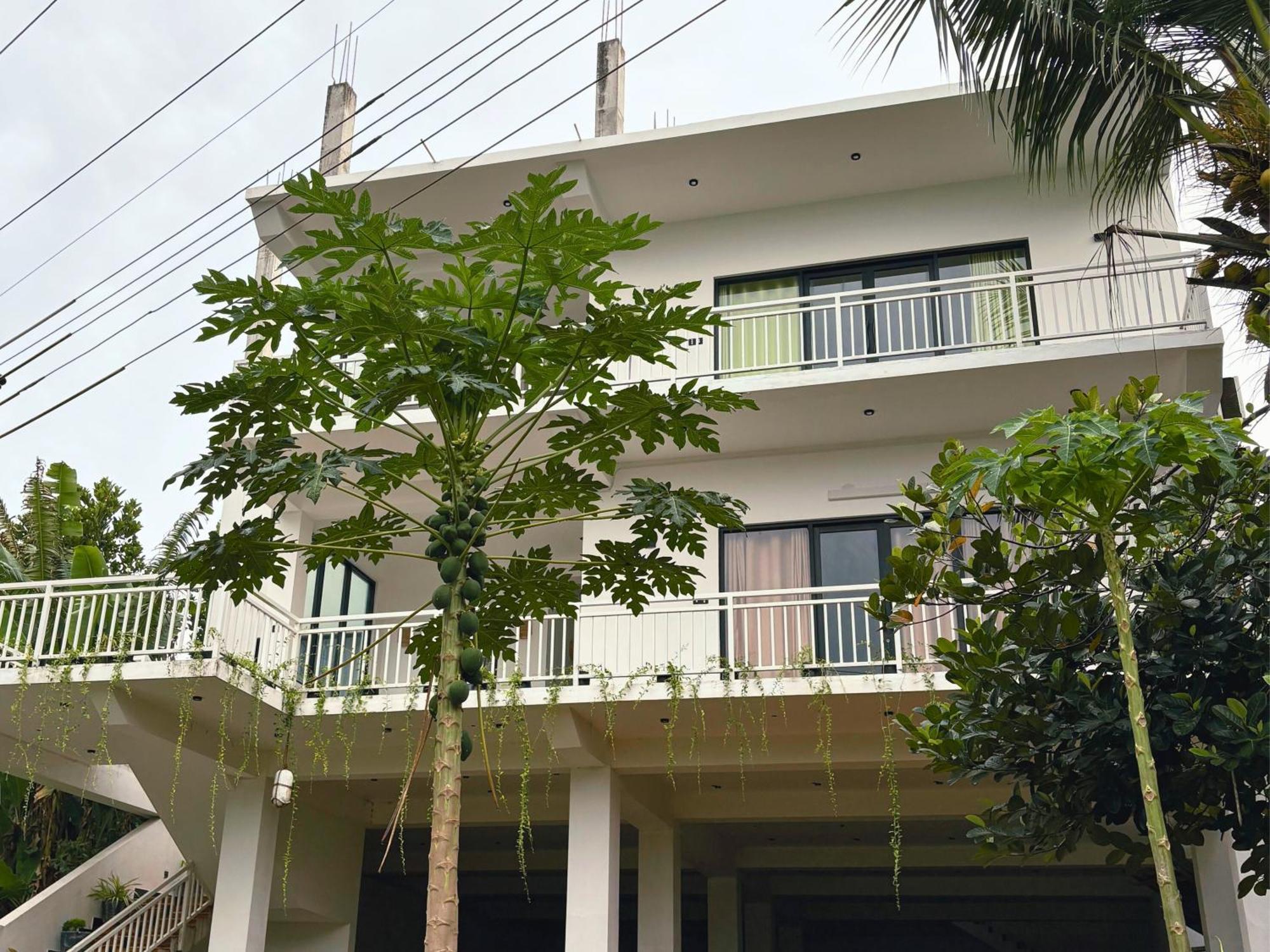 Calma - Surf, Yoga & Coffee On A Private Beach Dickwella Exterior photo