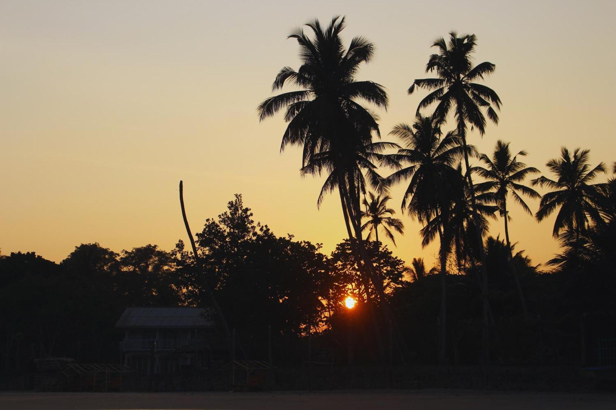 Calma - Surf, Yoga & Coffee On A Private Beach Dickwella Exterior photo