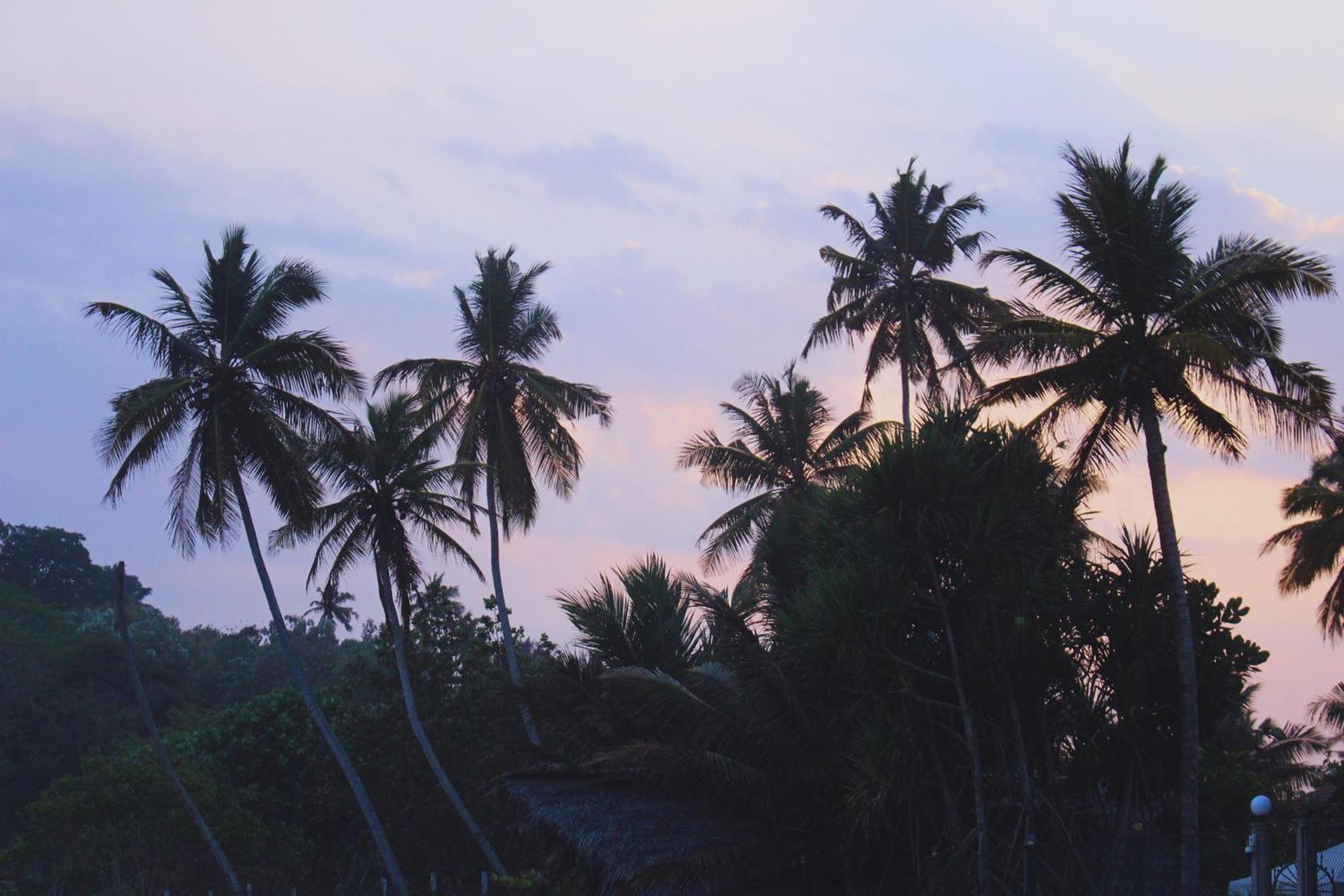 Calma - Surf, Yoga & Coffee On A Private Beach Dickwella Exterior photo