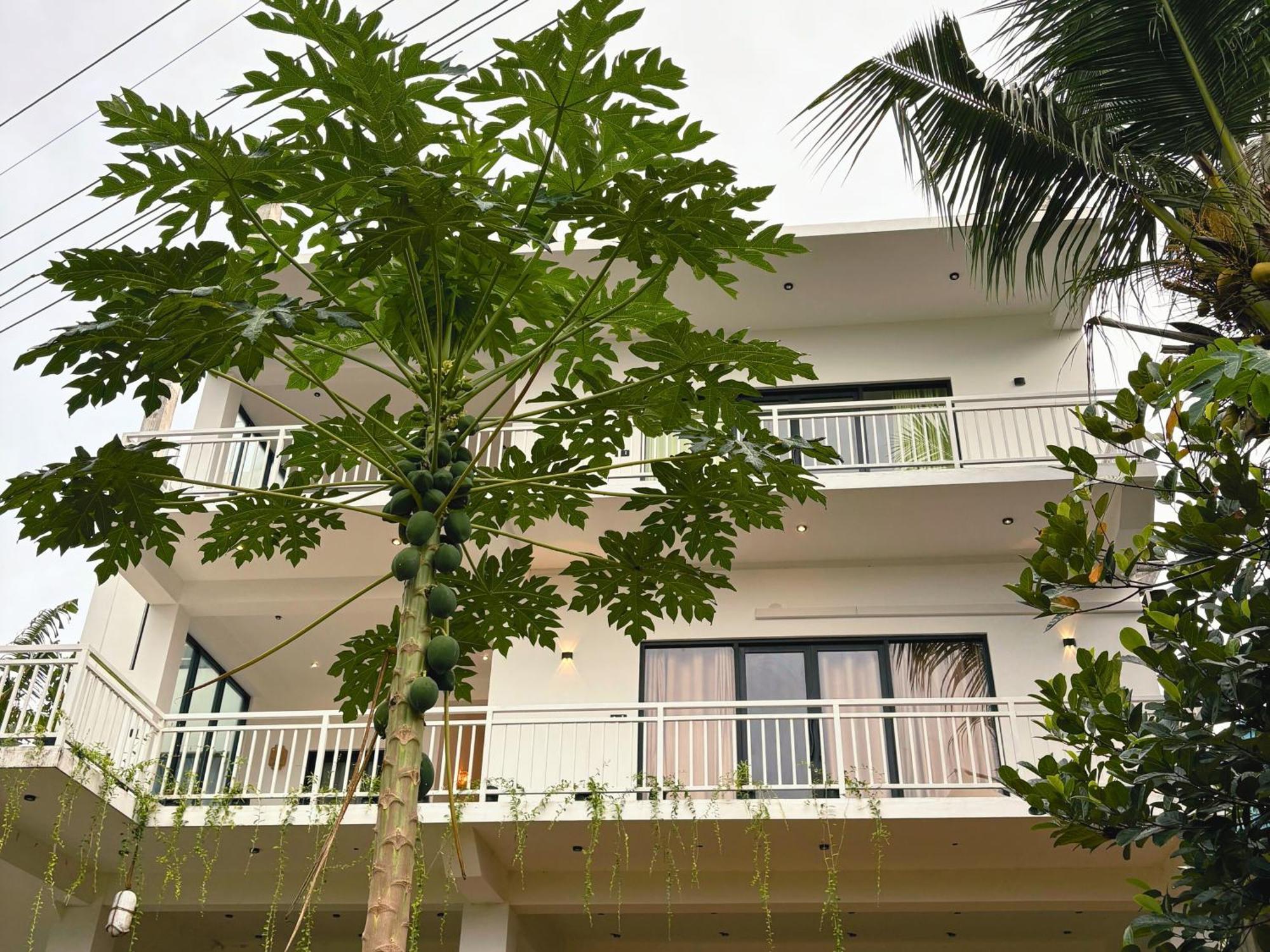 Calma - Surf, Yoga & Coffee On A Private Beach Dickwella Exterior photo