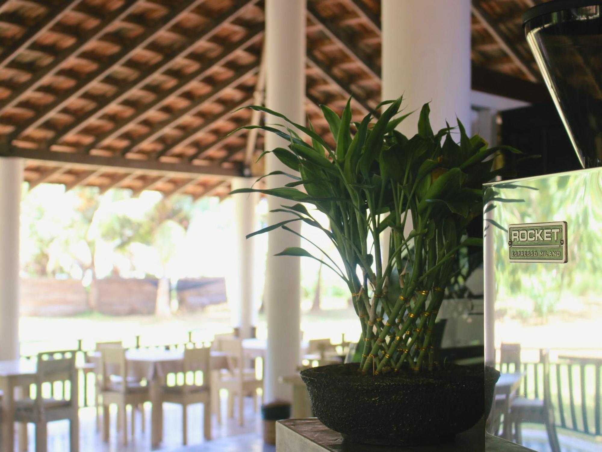 Calma - Surf, Yoga & Coffee On A Private Beach Dickwella Exterior photo