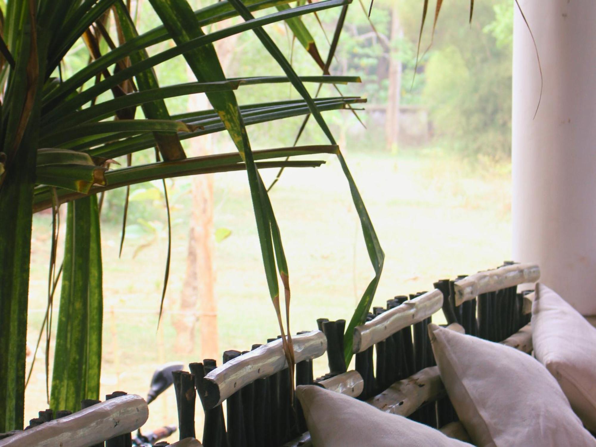 Calma - Surf, Yoga & Coffee On A Private Beach Dickwella Exterior photo